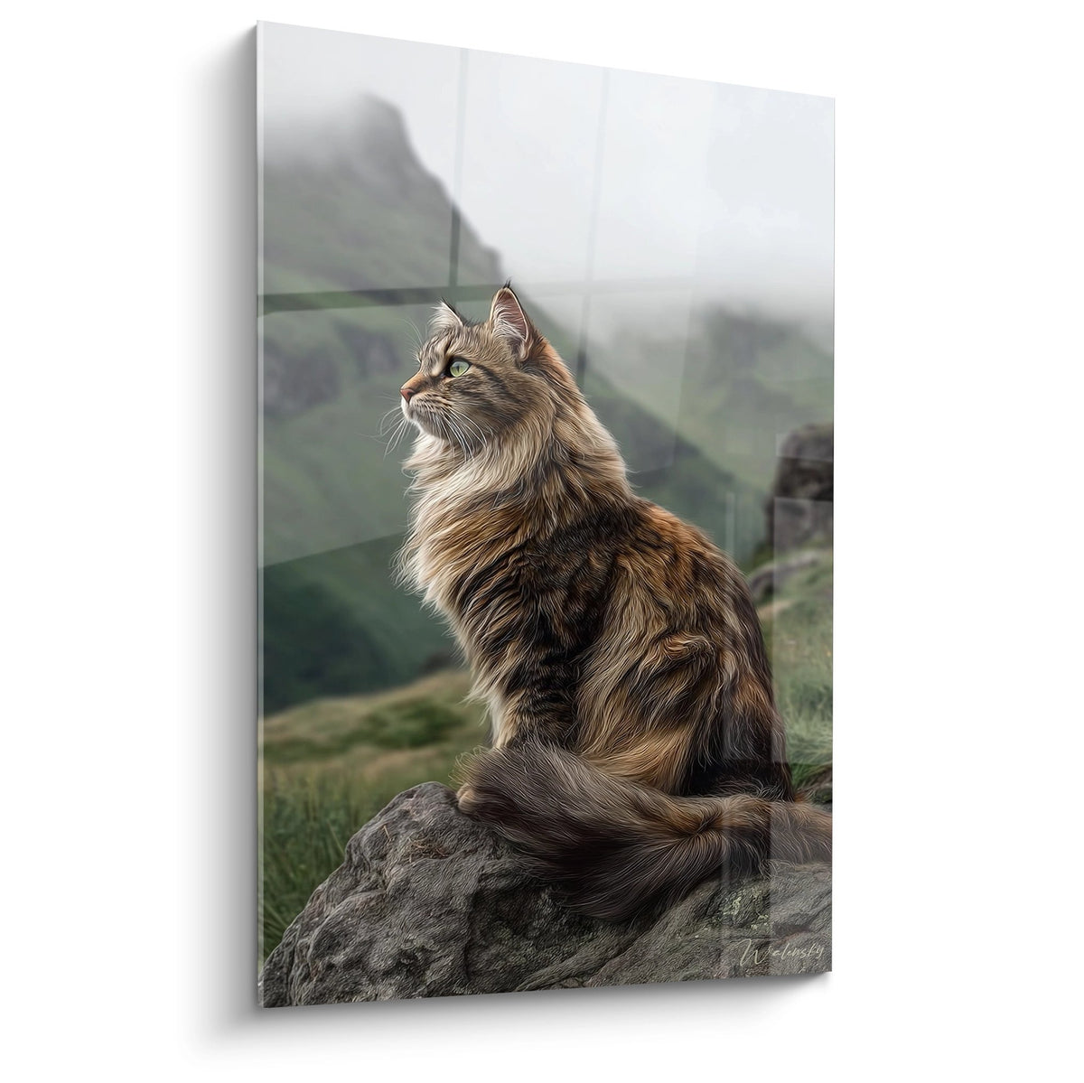Tableau chat American Bobtail au pelage brun contemplant un paysage montagneux brumeux depuis un rocher