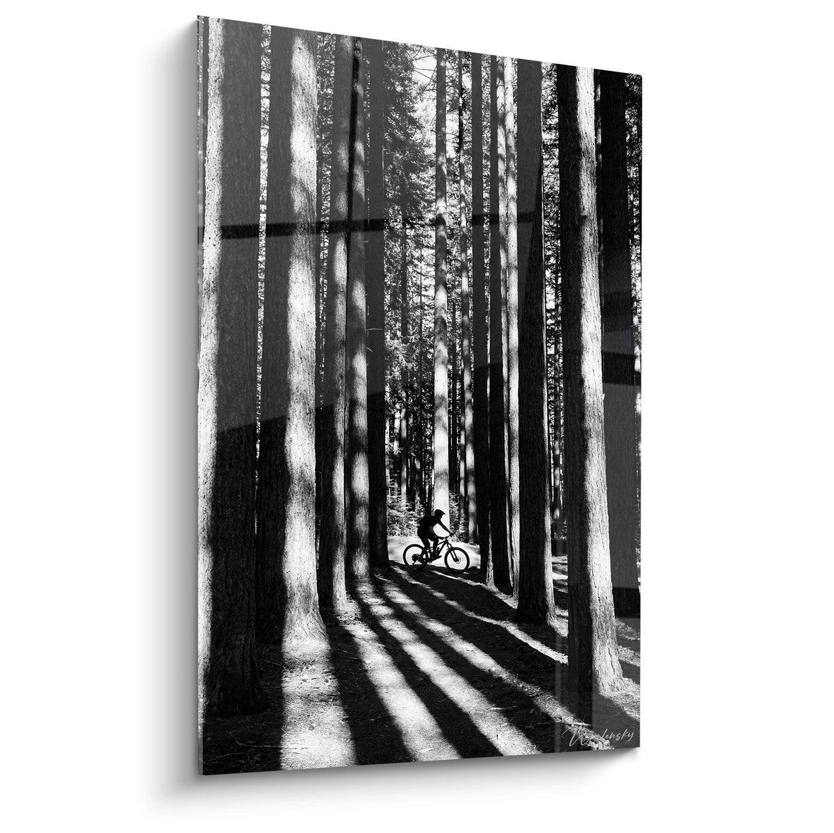 Tableau noir et blanc montrant un vététiste dans une forêt avec des jeux d'ombres et de lumière spectaculaires