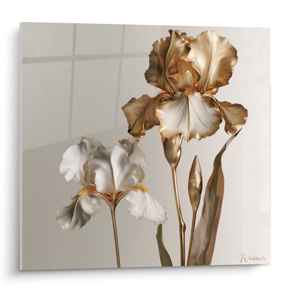 Iris doré et blanc aux pétales sculptés, tige vert olive, fond gris perle lumineux