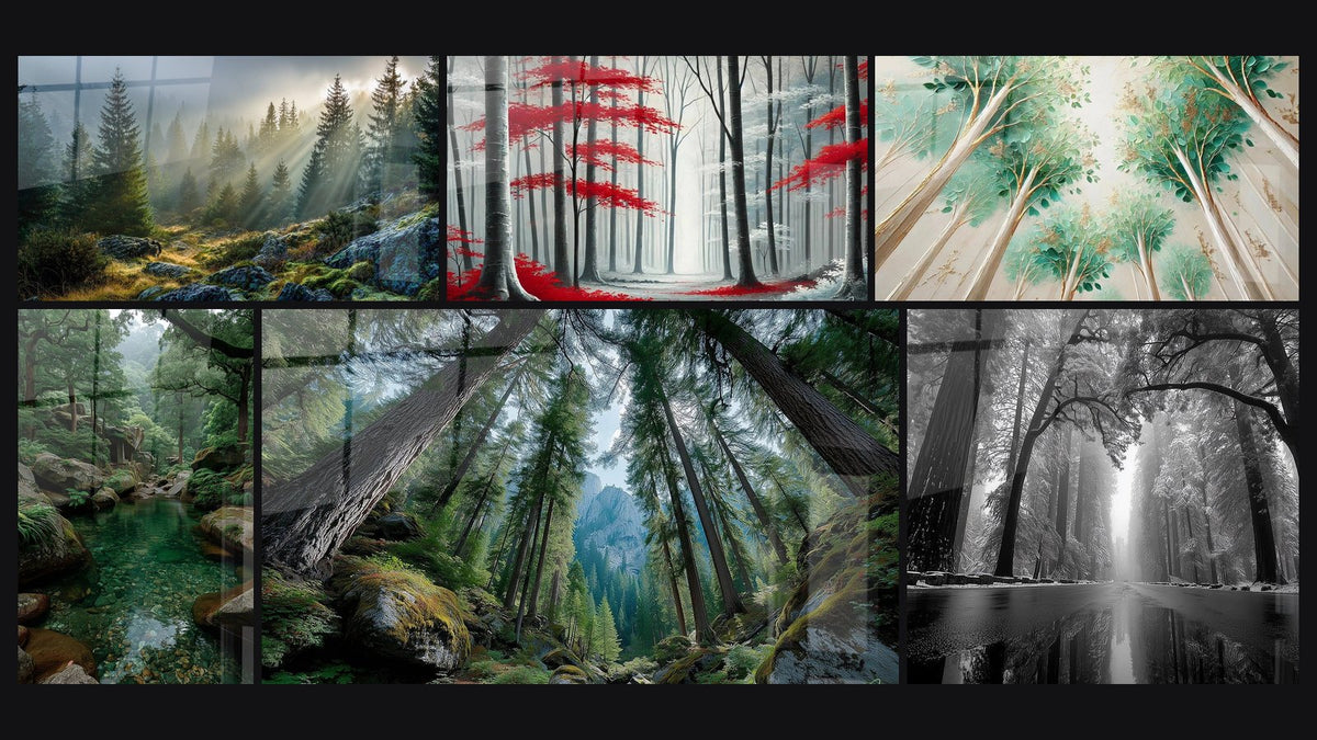 Mosaïque de six tableaux, dont Forêt brumeuse rayons soleil, Alignement Naturel et Bassin Naturel