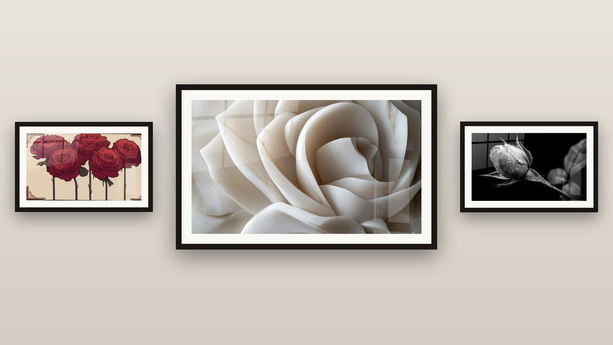 Mur de galerie avec trois tableaux encadrés : Rose avec Gouttes d'Eau, Rose N°3 et Roses Rouges