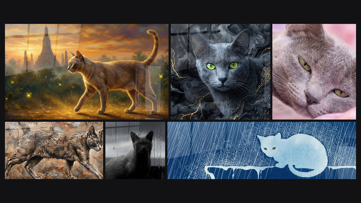 Mosaïque de six tableaux, dont Chat Korat Temple Doré, Chat sauvage sur rochers et Chat Korat sous la Pluie