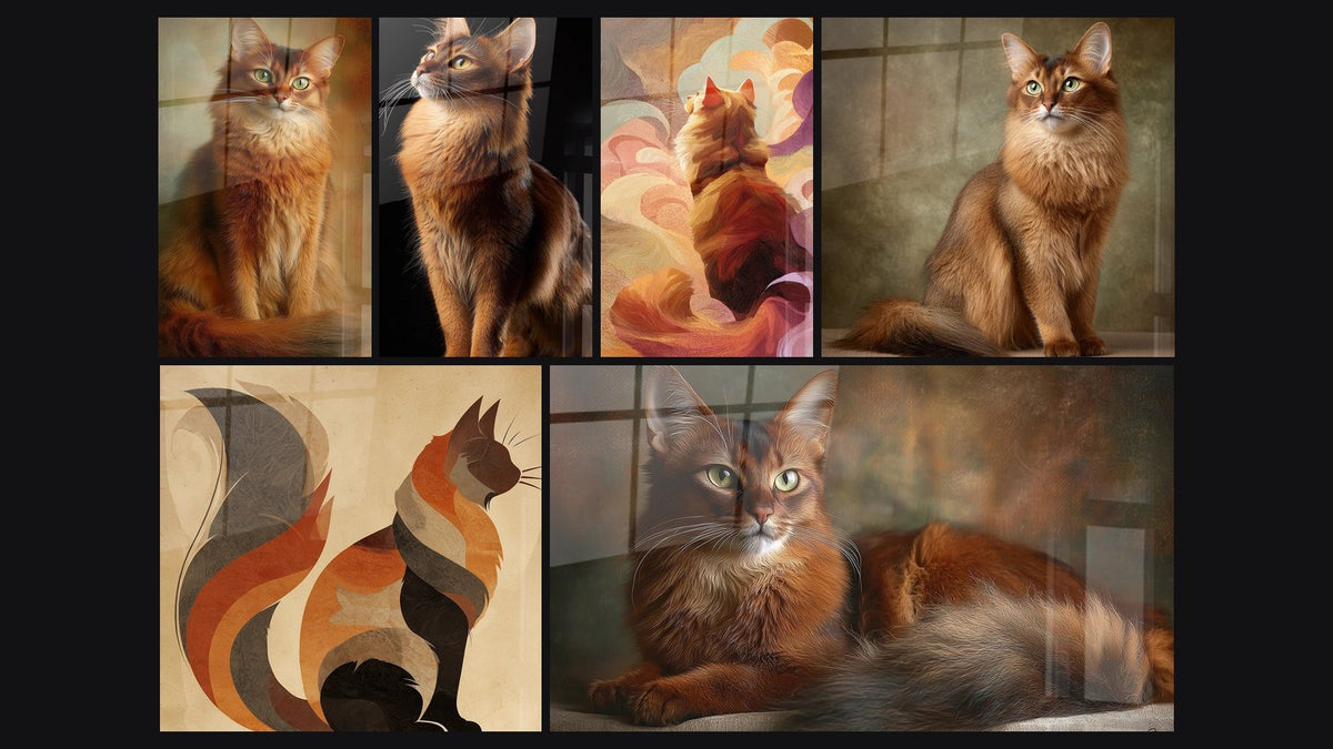 Mosaïque de six tableaux, dont Chat Somali Roux Portrait, Chat stylisé abstrait et Chat Somali Regard Contemplatif
