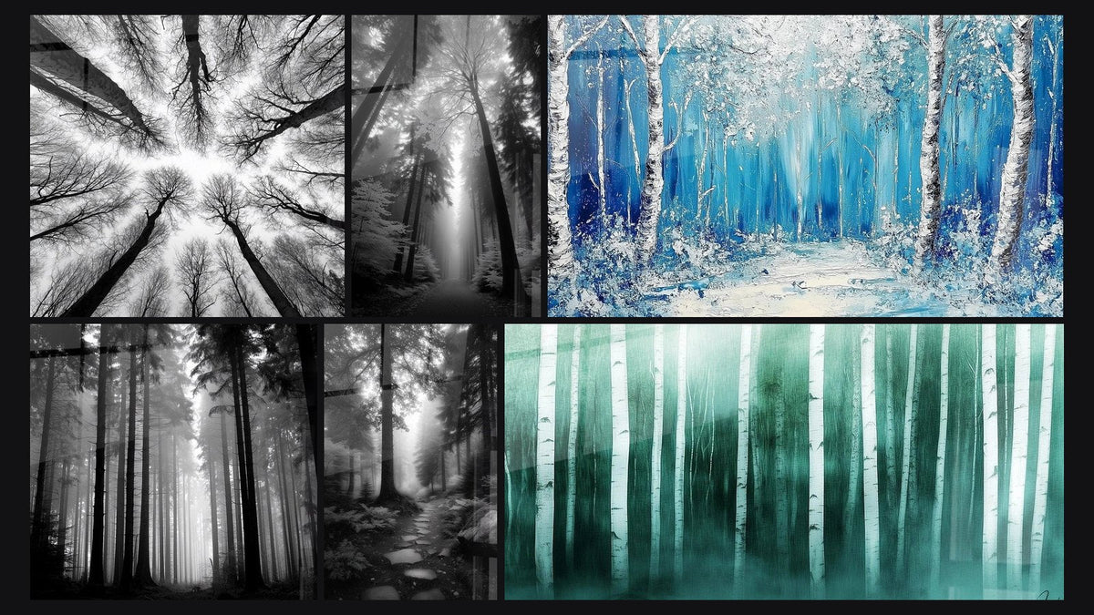 Mosaïque de six tableaux, dont Forêt Vue Plongée, Rayons de Lumière en Forêt et Forêt de Sapins dans la Brume
