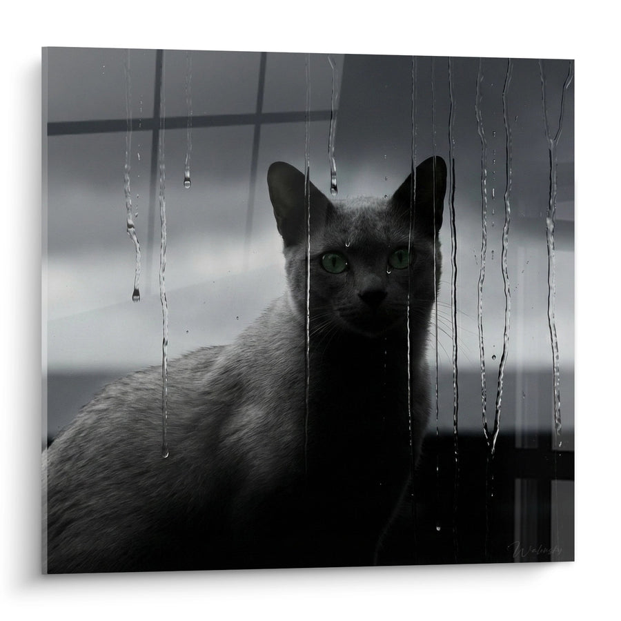 Tableau Chat Korat sous la Pluie - Regard Mystérieux - Edition chat Korat