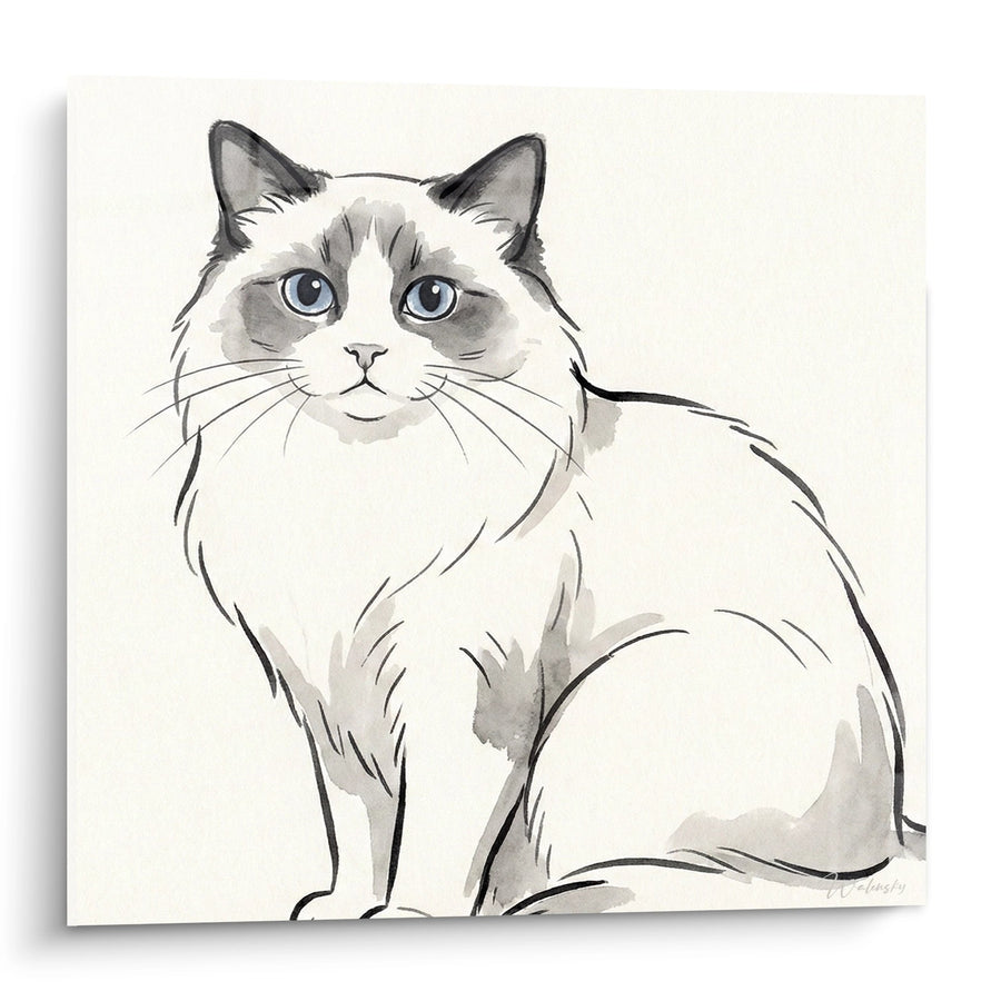 Tableau Chat Ragdoll Assis - Portrait Élégant Aquarelle - Edition chat Ragdoll