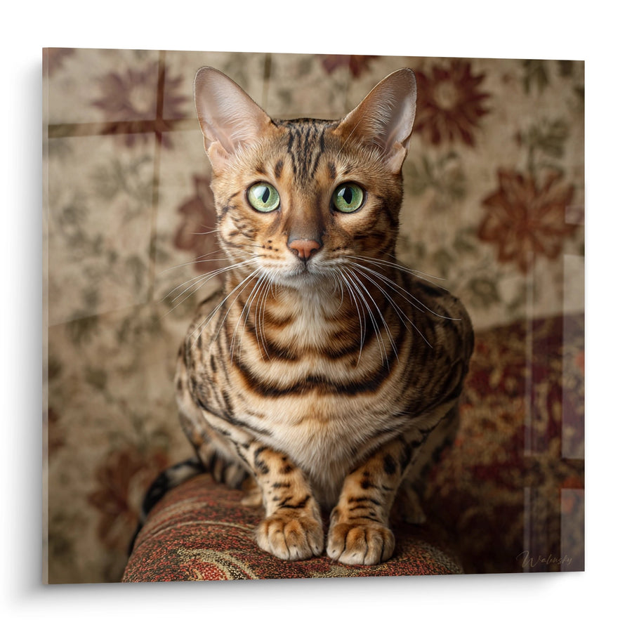 Tableau Chat Bengal Portrait Majestueux - Regard Emeraude - Edition chat Bengal