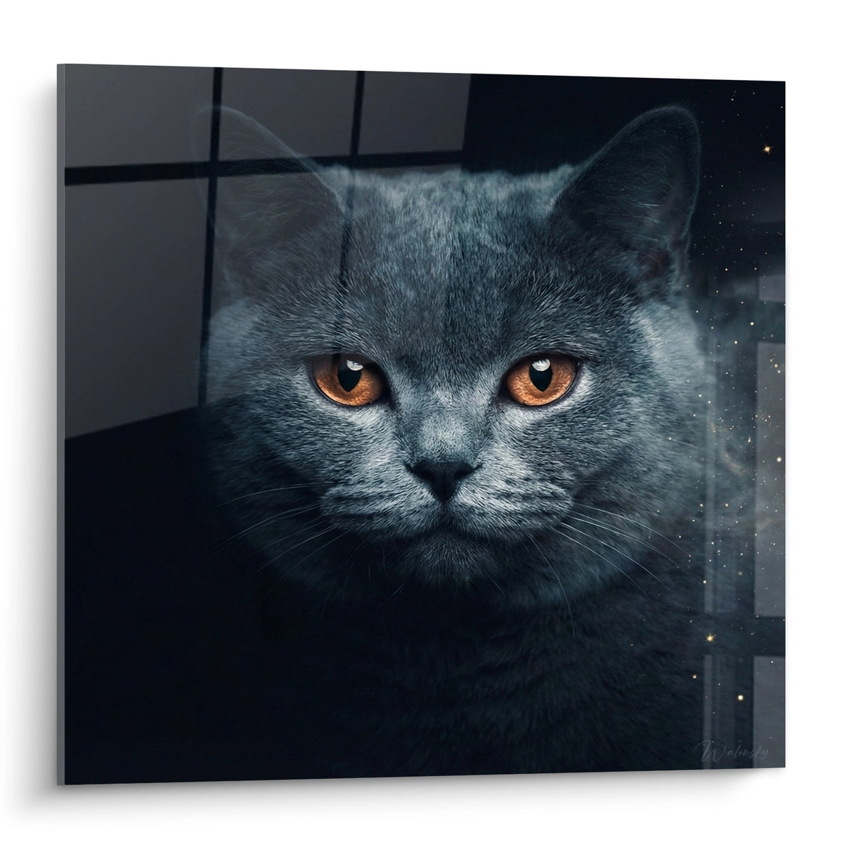 Tableau portrait chat British Shorthair gris aux yeux ambre sur fond etoile, art mural decoration feline