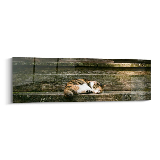 Tableau Chat endormi sur escalier en bois - Sérénité rustique - Edition chat Japanese Bobtail