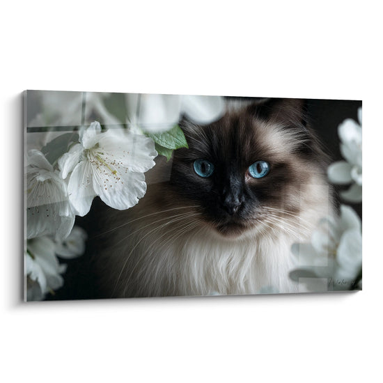 Tableau mural chat Birman aux yeux bleus parmi fleurs de cerisier blanches sur toile decorative