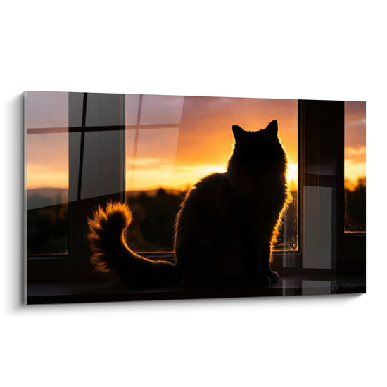 Tableau Chat Silhouette Coucher de Soleil - Contemplation Dorée - Edition chat Birman