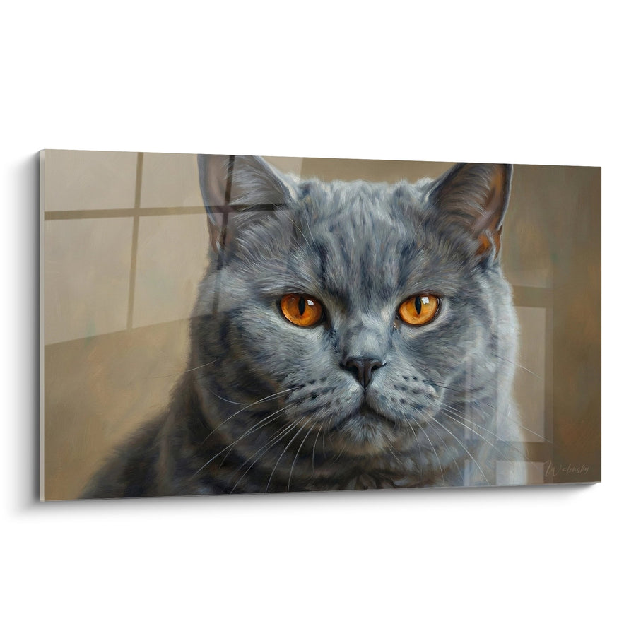 Tableau Chat British Shorthair Gris aux Yeux Ambrés - Portrait Majestueux - Edition chat British shorthair