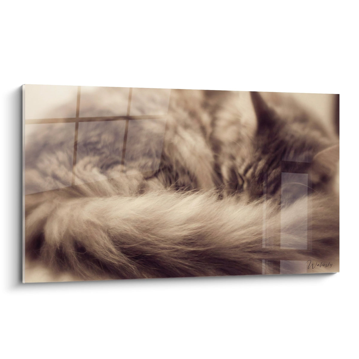 Tableau mural chat Maine Coon gros plan pelage soyeux tons beiges art félin décoratif