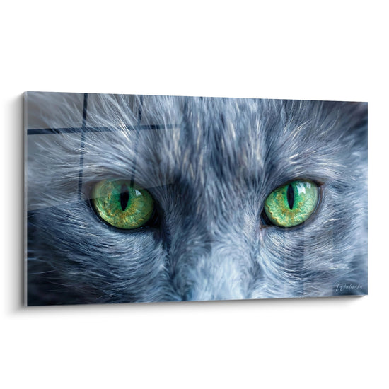 Tableau mural gros plan regard intense chat Nebelung aux yeux verts emeraude sur pelage gris-bleu argente