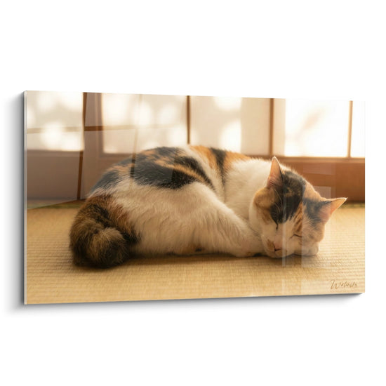 Chat Japanese Bobtail tricolore endormi sur tatami dans interieur japonais traditionnel avec cloisons bois