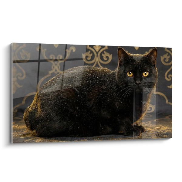 Tableau Chat Noir aux Yeux d'Or - Mystère Doré - Edition chat Manx