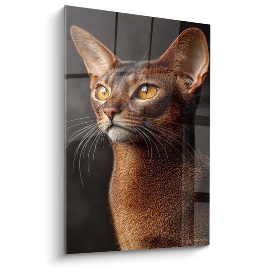 Portrait artistique d'un chat Abyssin aux yeux dorés sur tableau mural décoratif
