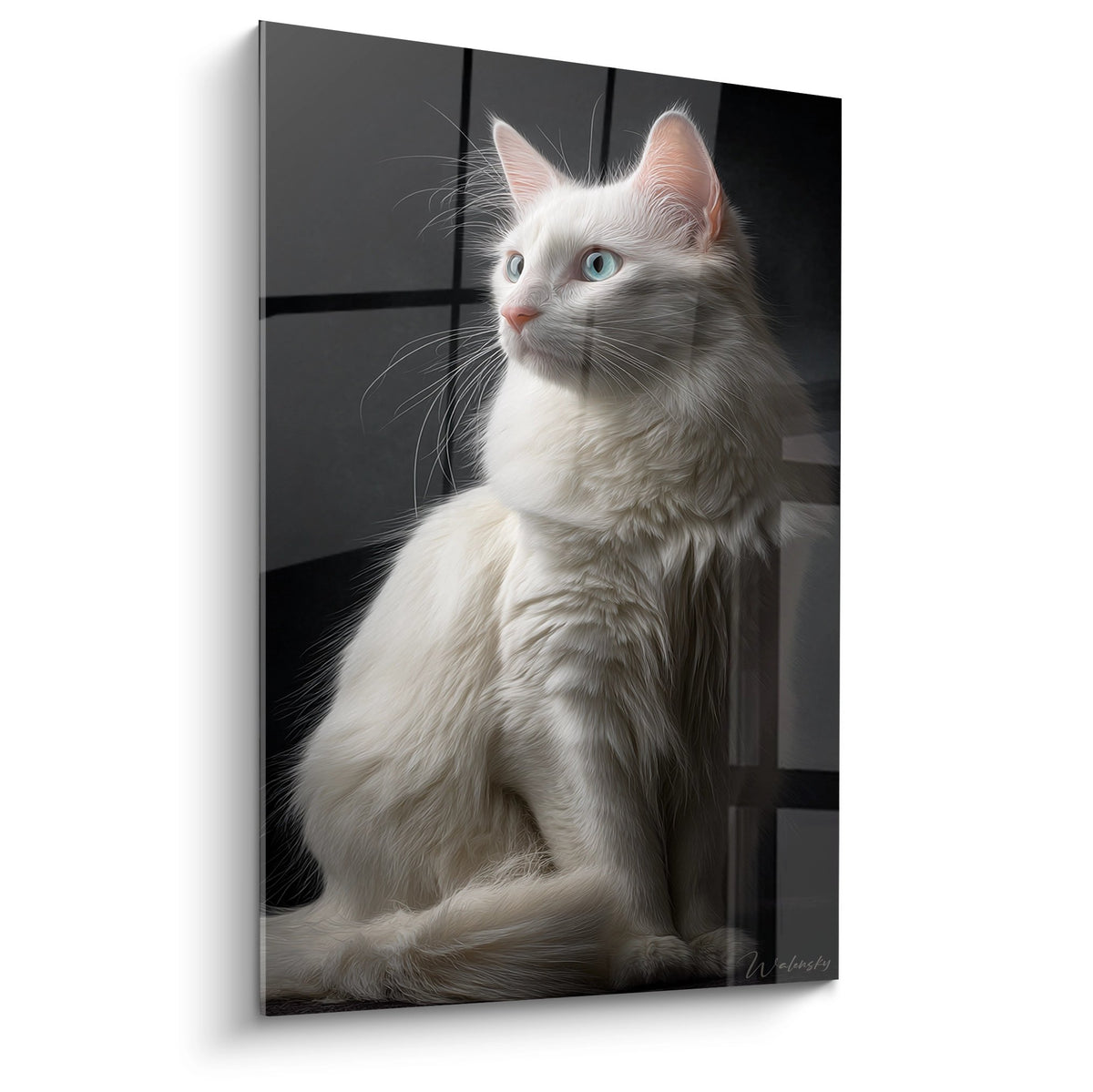 Tableau chat Turkish Angora blanc aux yeux vairons assis elegamment sur fond sombre, pelage soyeux detaille