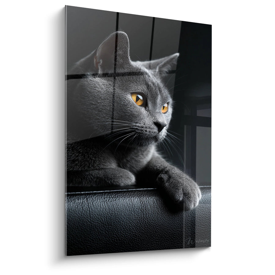 Tableau Chat Chartreux aux Yeux Dorés - Regard Contemplatif - Edition chat Chartreux