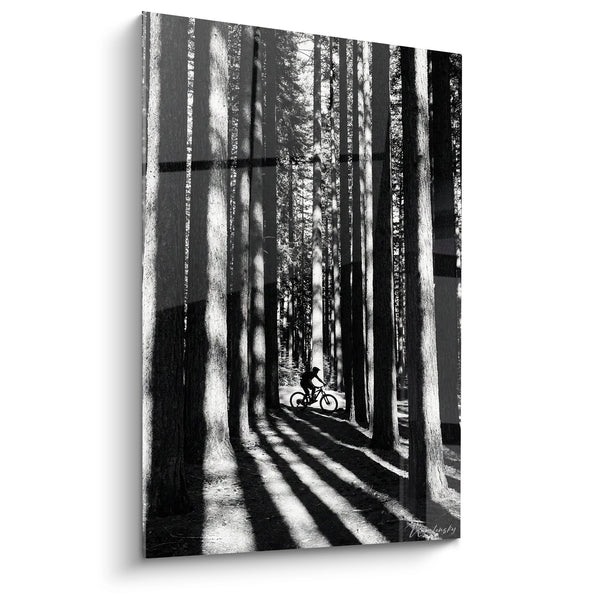 Tableau VTT en Forêt - Ombres et Lumière - Edition VTT