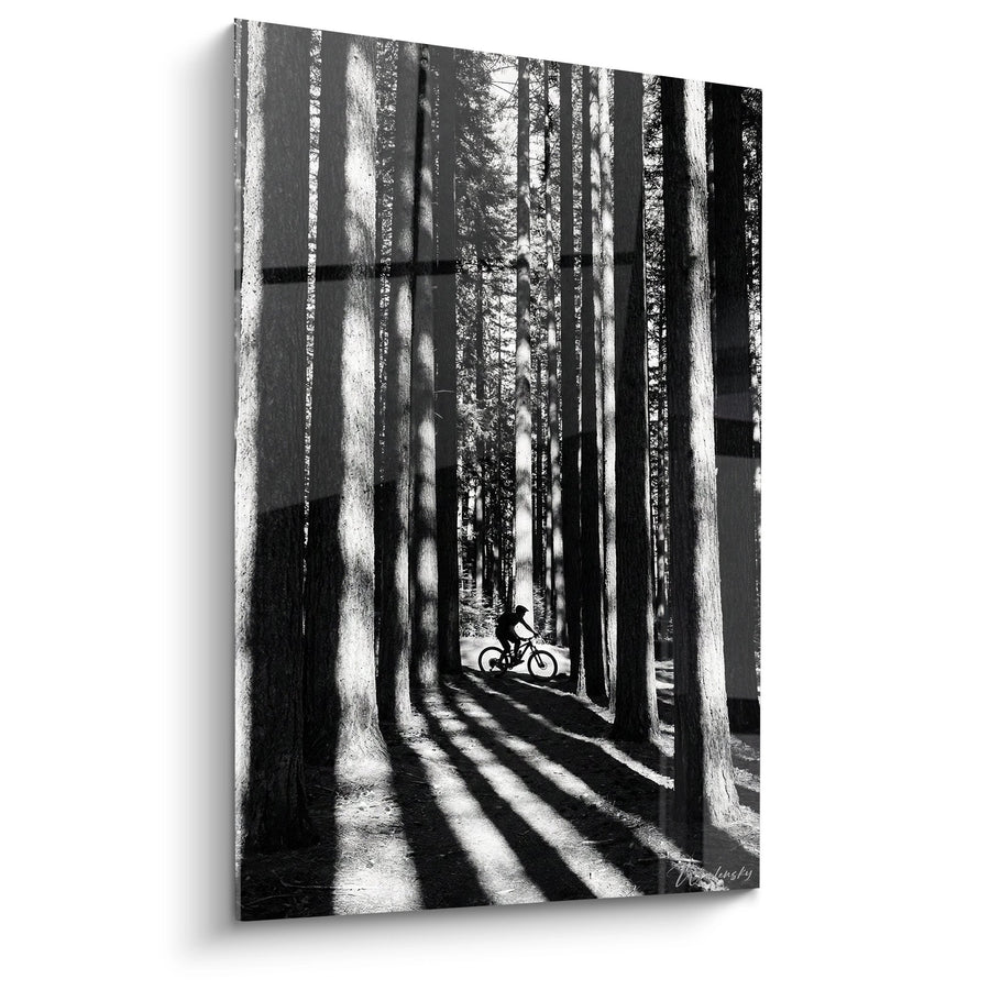 Tableau VTT en Forêt - Ombres et Lumière - Edition VTT