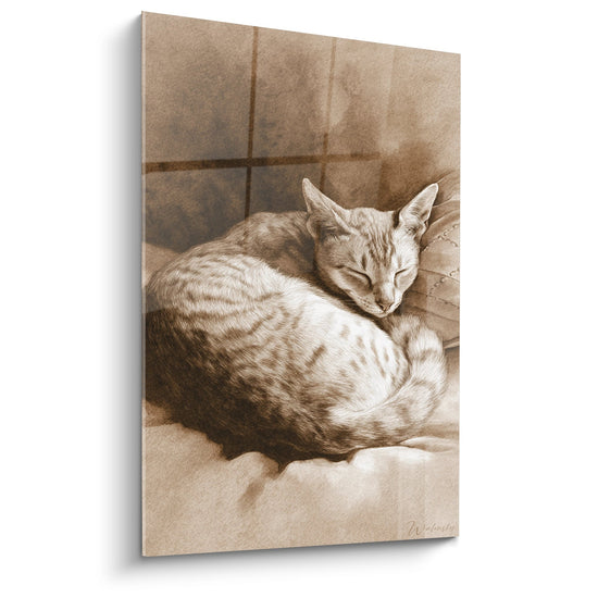 Tableau Chat Singapura Endormi - Sérénité Féline - Edition chat Singapura