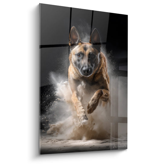 Berger Belge Malinois en pleine course soulevant un nuage de poussiere doree sur fond urbain sombre