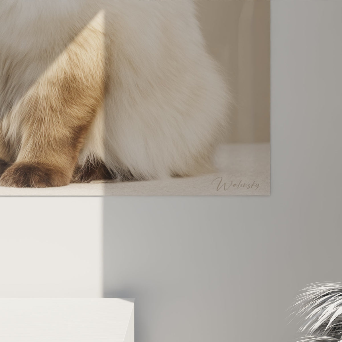 Vue ensemble tableau chat Birman sacre Birmanie dans salon contemporain decoration art animalier