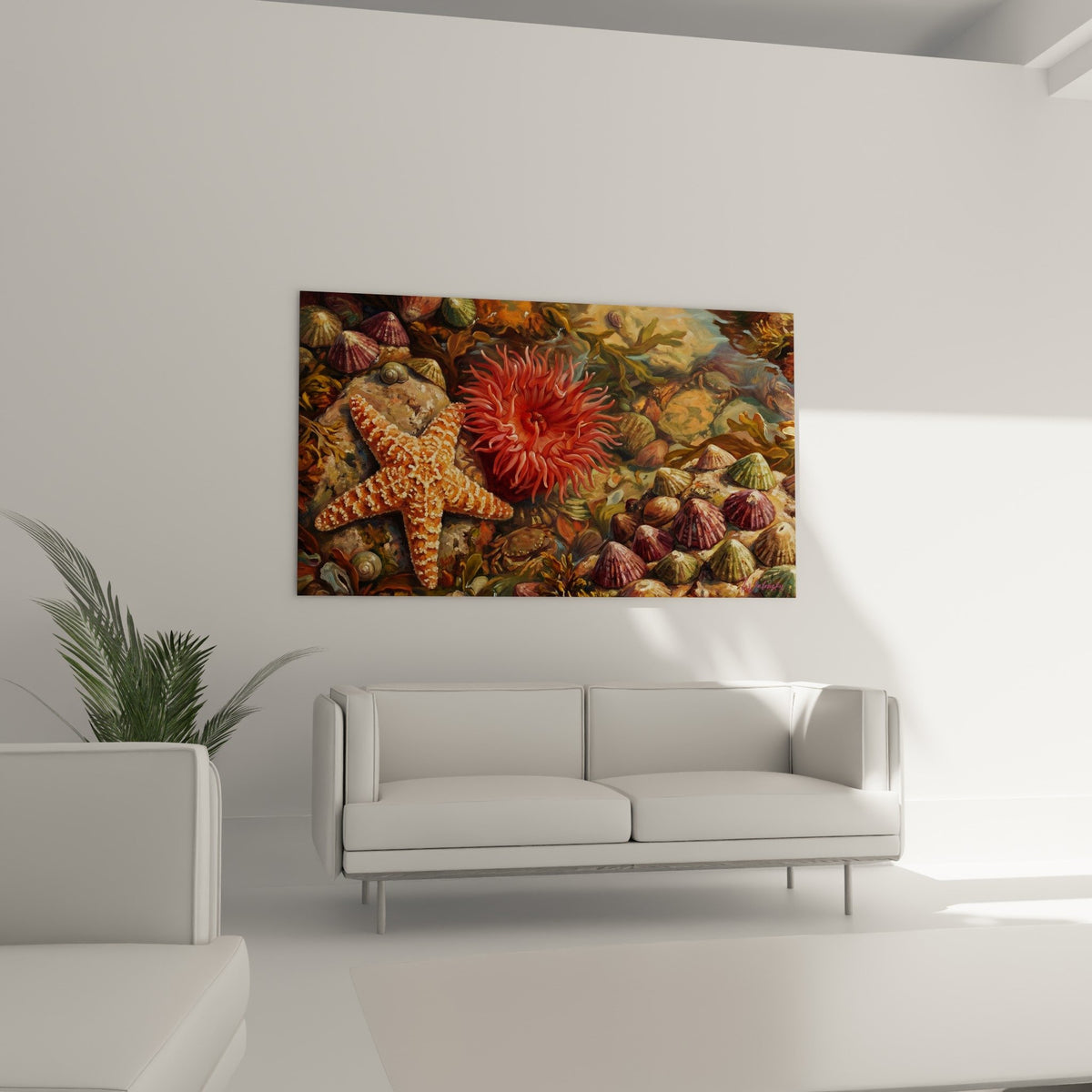 Détail étoile de mer texturée orange et anémone rouge corail - tableau marine haute définition édition limitée