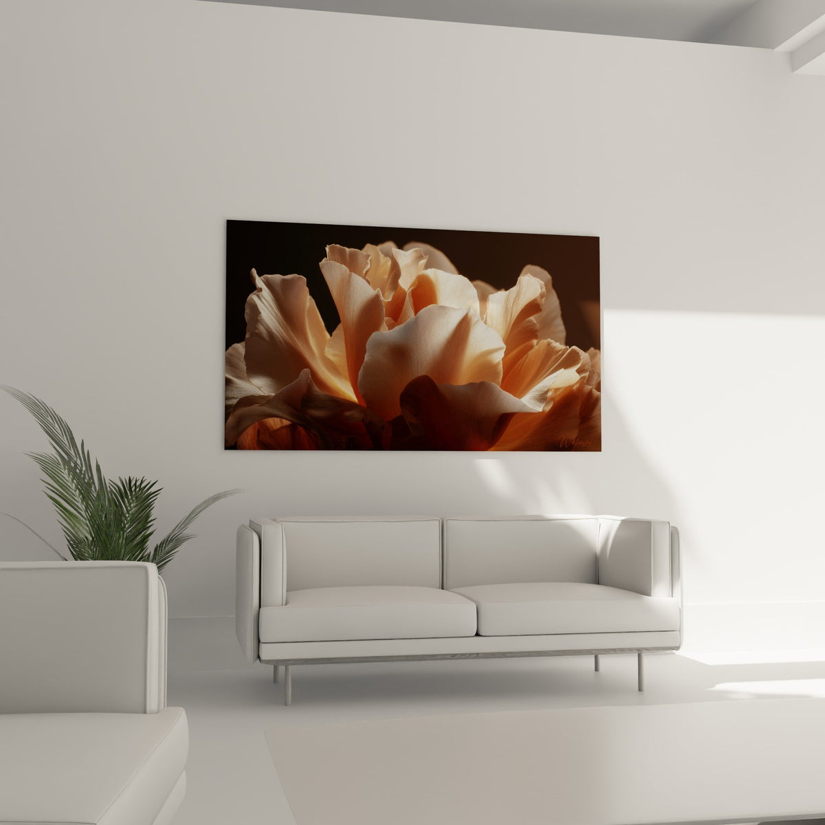 Detail petales pivoine texture soyeuse couleur peche abricot feng shui sud-ouest terre art floral