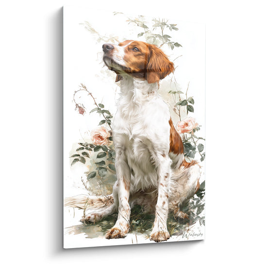 Portrait Epagneul Breton assis jardin roses corail fond blanc style artistique romantique