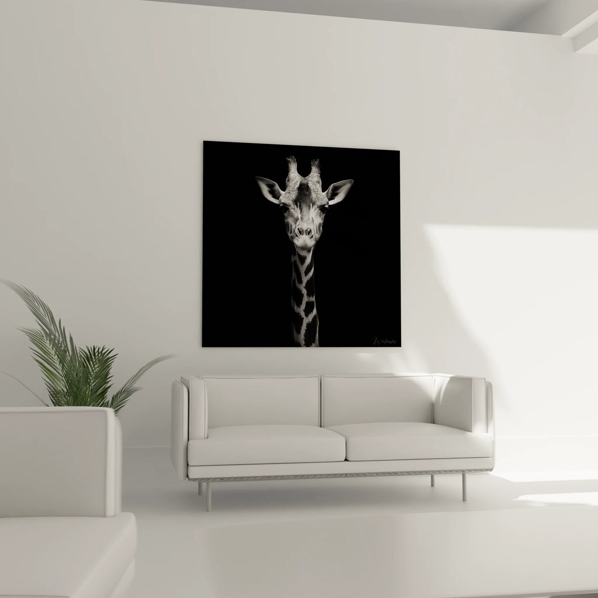 Gros plan détails portrait girafe noir blanc texture pelage motifs géométriques naturels
