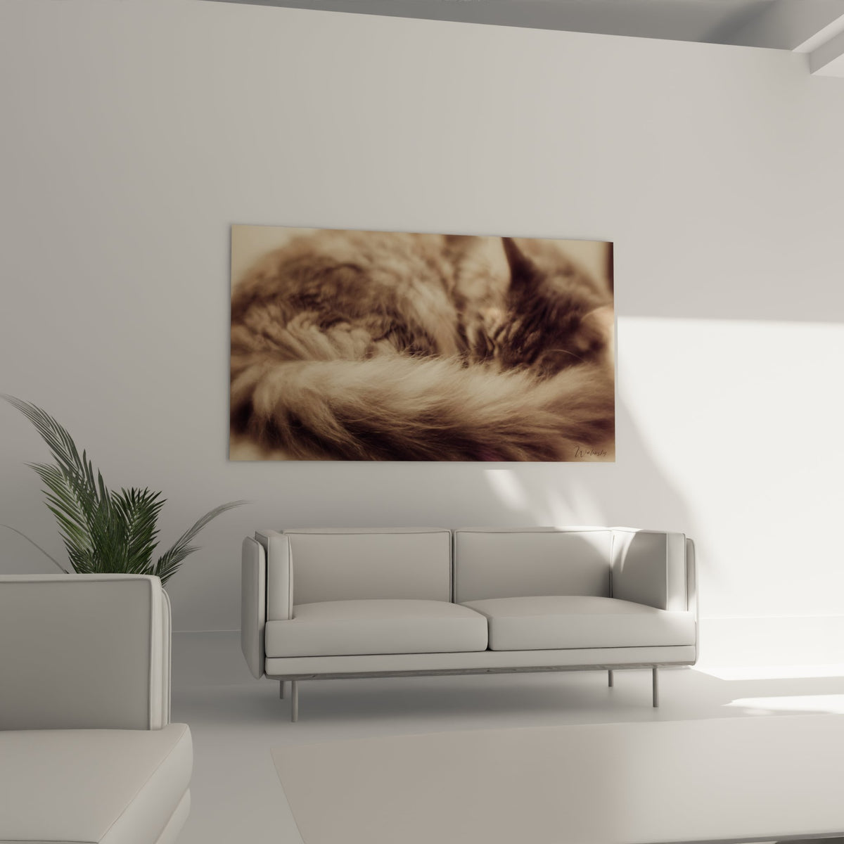 Détail tableau Maine Coon texture pelage soyeux nuances beiges photographie artistique