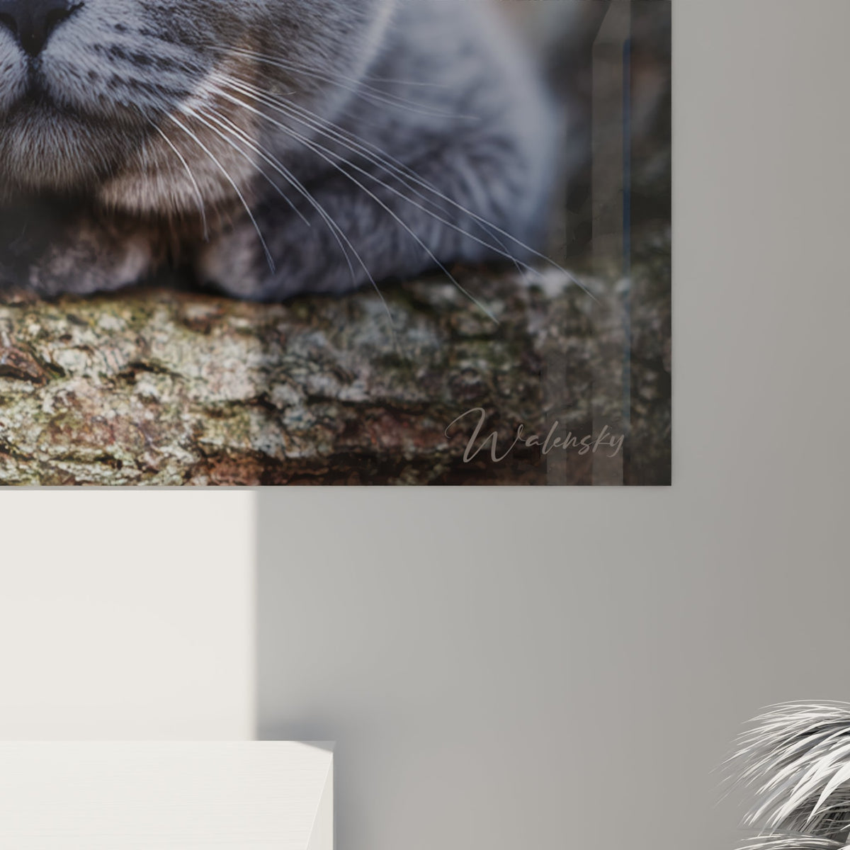 Vue ensemble tableau mural chat British Shorthair gris dans salon moderne decoration feline elegante