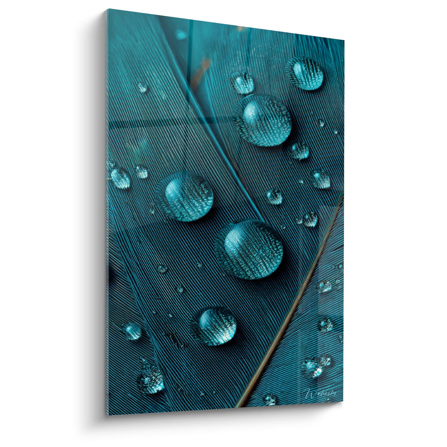 Tableau Plume de Paon Turquoise avec Gouttes d'Eau - Reflets Cristallins - Edition Plume
