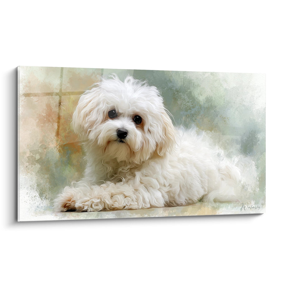 Tableau Bichon Havanais Blanc aux Yeux Noirs - Portrait Aquarelle Tendre - Edition Bichon Havanais