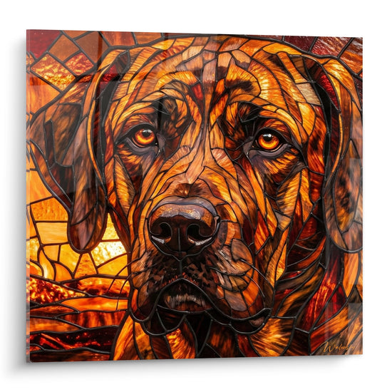 Portrait artistique Fila Brasileiro en mosaïque ambrée et dorée, technique vitrail moderne, regard intense aux yeux dorés