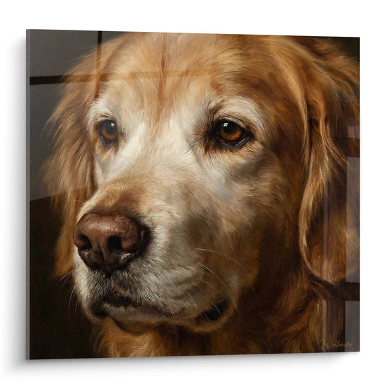 Portrait réaliste de Golden Retriever aux yeux ambrés et pelage doré, regard tendre et expressif sur fond neutre