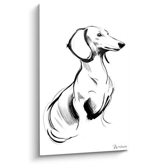 Portrait artistique teckel noir et blanc au trait, profil noble sur fond blanc - art canin moderne