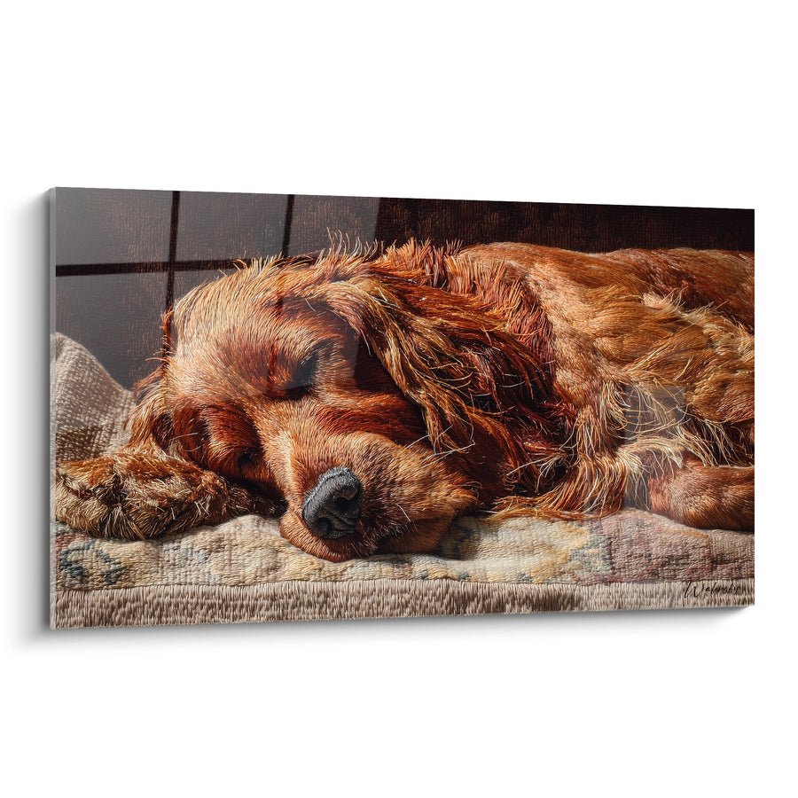 Tableau Setter Irlandais Endormi aux Reflets Dorés - Douceur Matinale - Edition Setter Irlandais