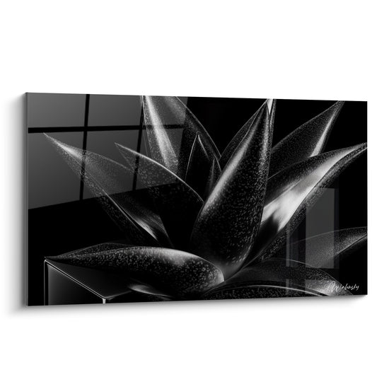 Aloe vera noir aux feuilles pointues et reflets argentés sur fond sombre et texturé