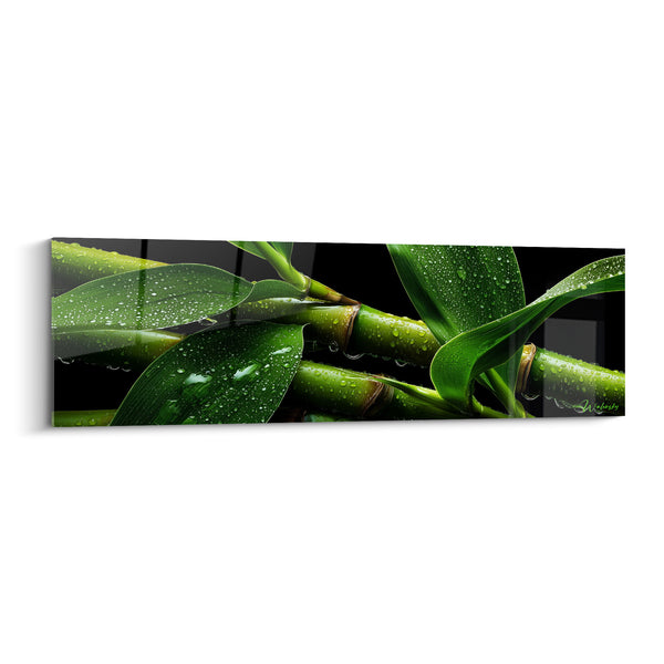 Tableau Bambou vert sur fond noir intense - Fraîcheur du matin - Edition Bambou