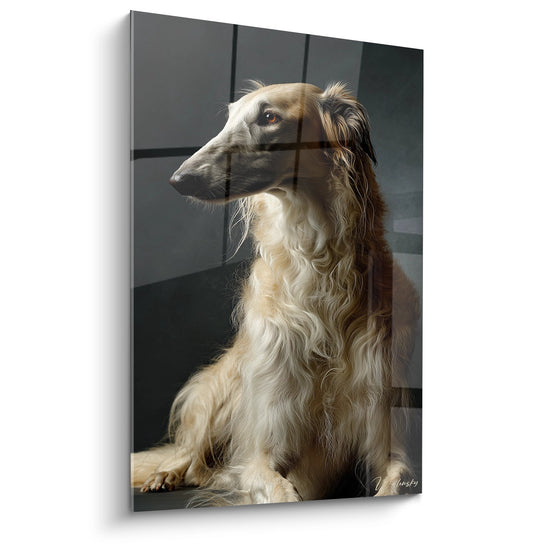 Portrait élégant d'un Barzoi au pelage doré et blanc sur fond gris, regard contemplatif et noble