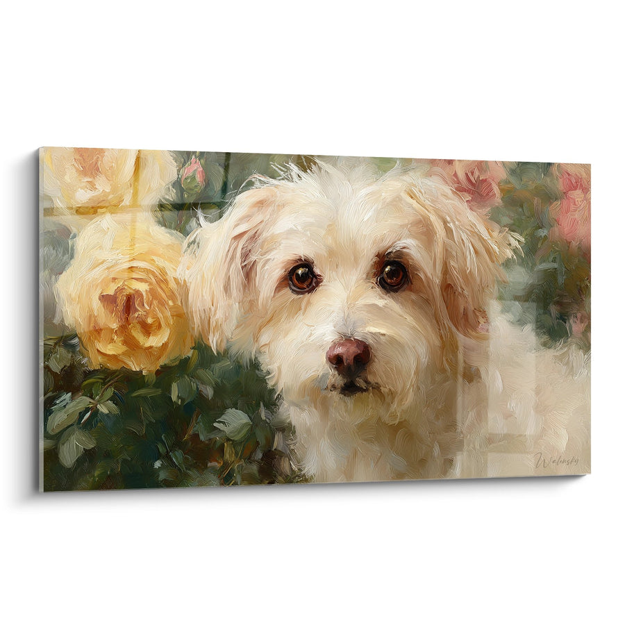 Tableau Bichon Havanais aux Yeux Ambrés dans les Roses - Tendresse Florale - Edition Bichon Havanais