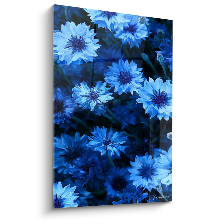 Tableau Bleuets bleu ciel et marine aux boutons frisés - Cœurs violet foncé - Edition Bleuet