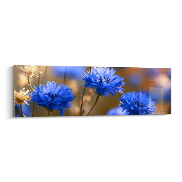 Tableau Bleuets bleu vif et fauve trois fleurs déployées - Épis fanés flous - Edition Bleuet