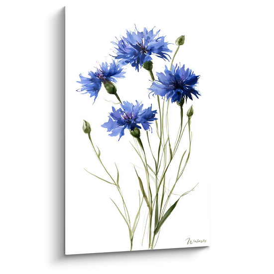 Tableau Bleuets bleu et vert sur fond blanc pur - Boutons fermés en grappe - Edition Bleuet
