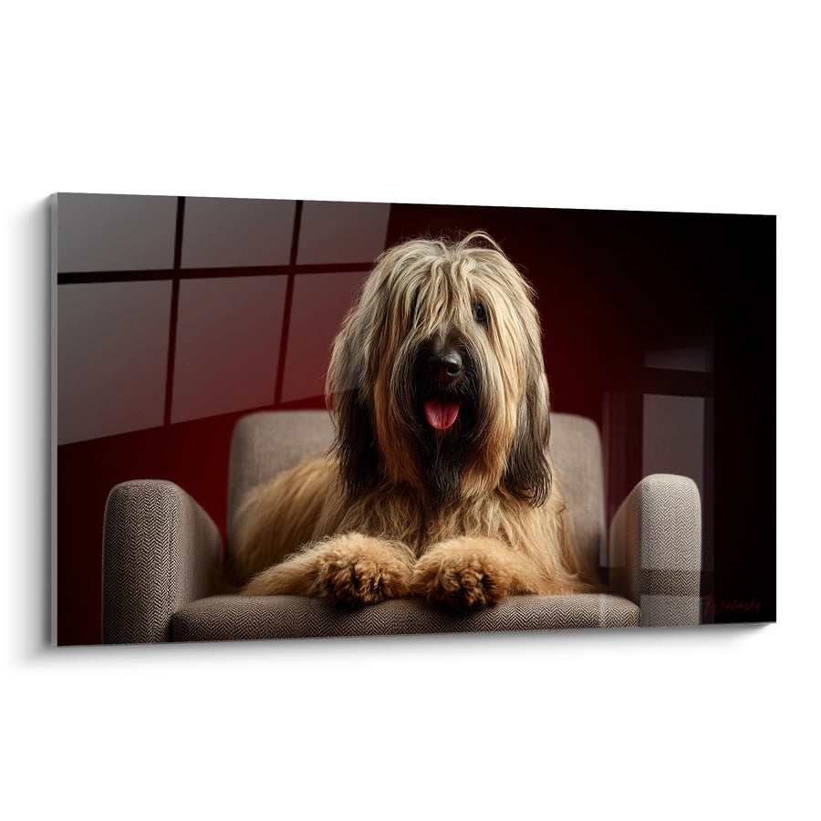 Tableau Chien Briard Assis dans Fauteuil Beige - Portrait Élégant - Edition Briard