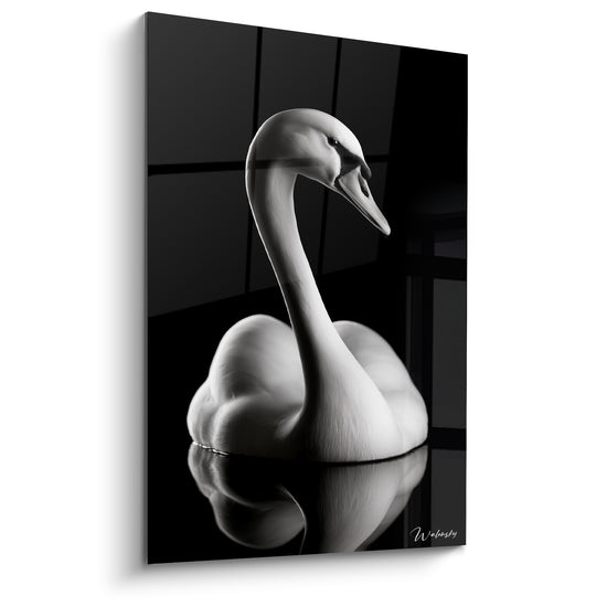 Cygne blanc au long cou incurvé, plumage ivoire sur fond noir profond structuré