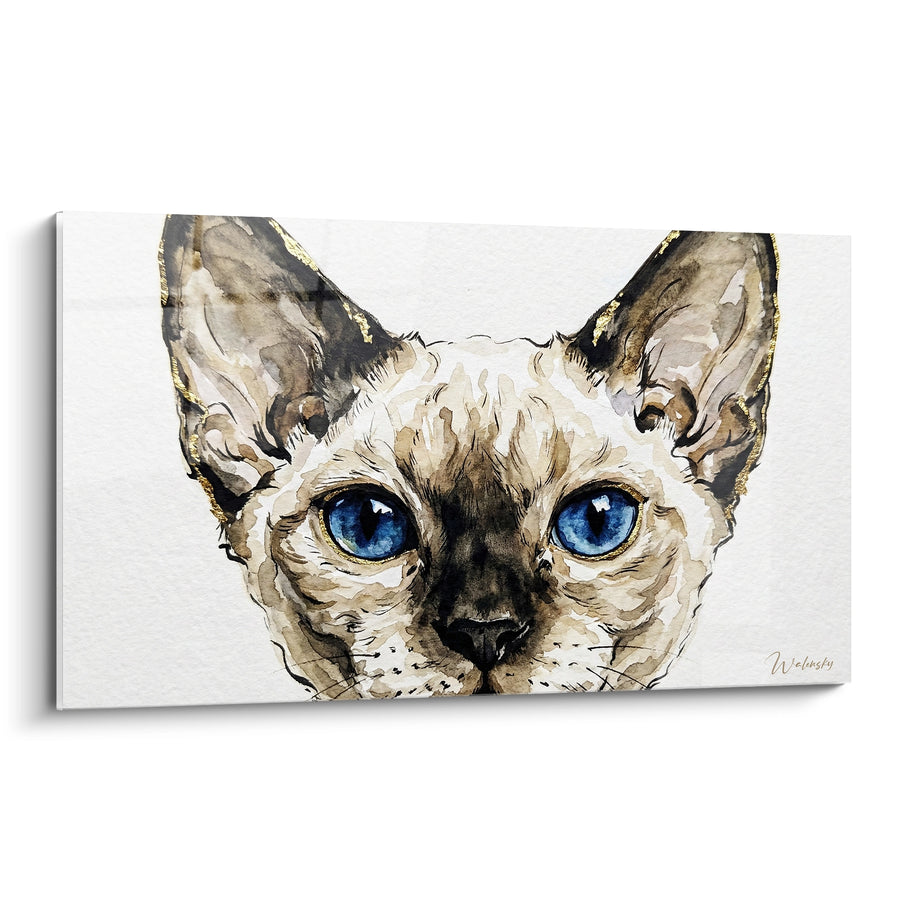 Tableau Chat oreilles brunes et dorées yeux bleus - Regard qui transperce - Edition Chat Devon rex